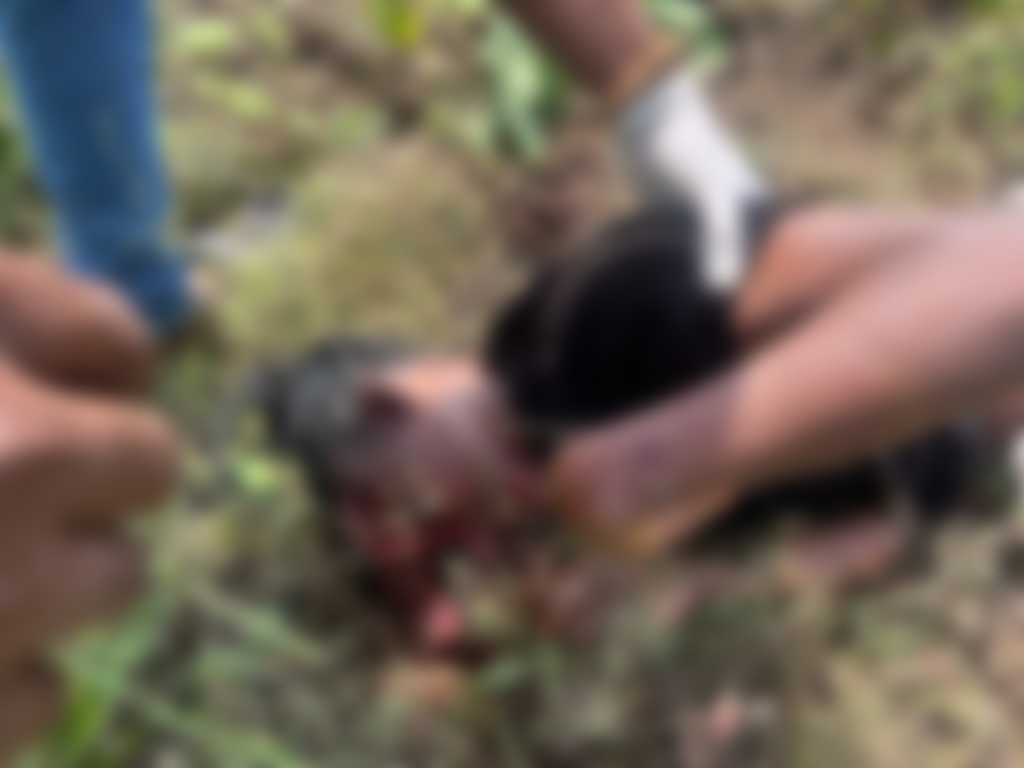 Image floutée du corps sans vie de la femme découverte à Lalo