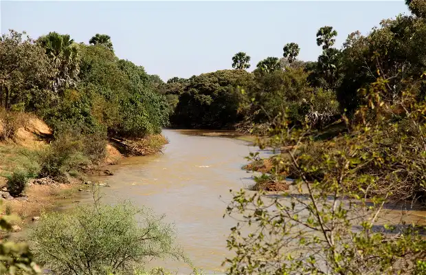 Le fleuve Pendjari dans la commune de Matéri au Bénin